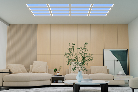 Синь Гуан Юань (новые светильники) Lighting Technology Co., Ltd.